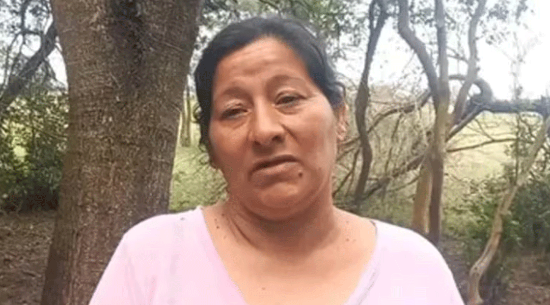 Sin-título-1
