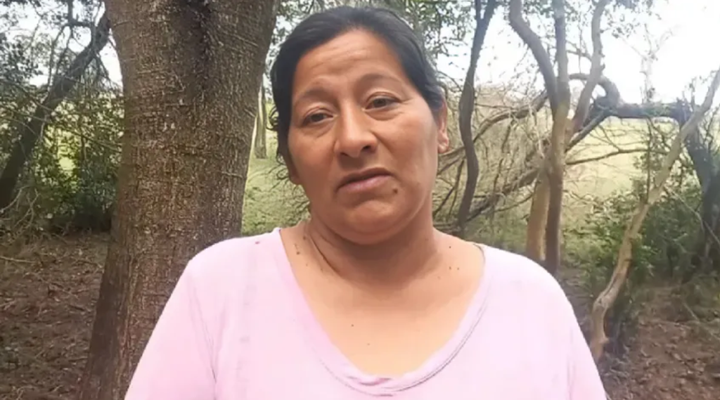 Sin-título-1
