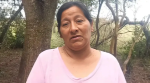 Sin-título-1