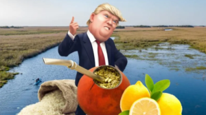 Sin-título-1