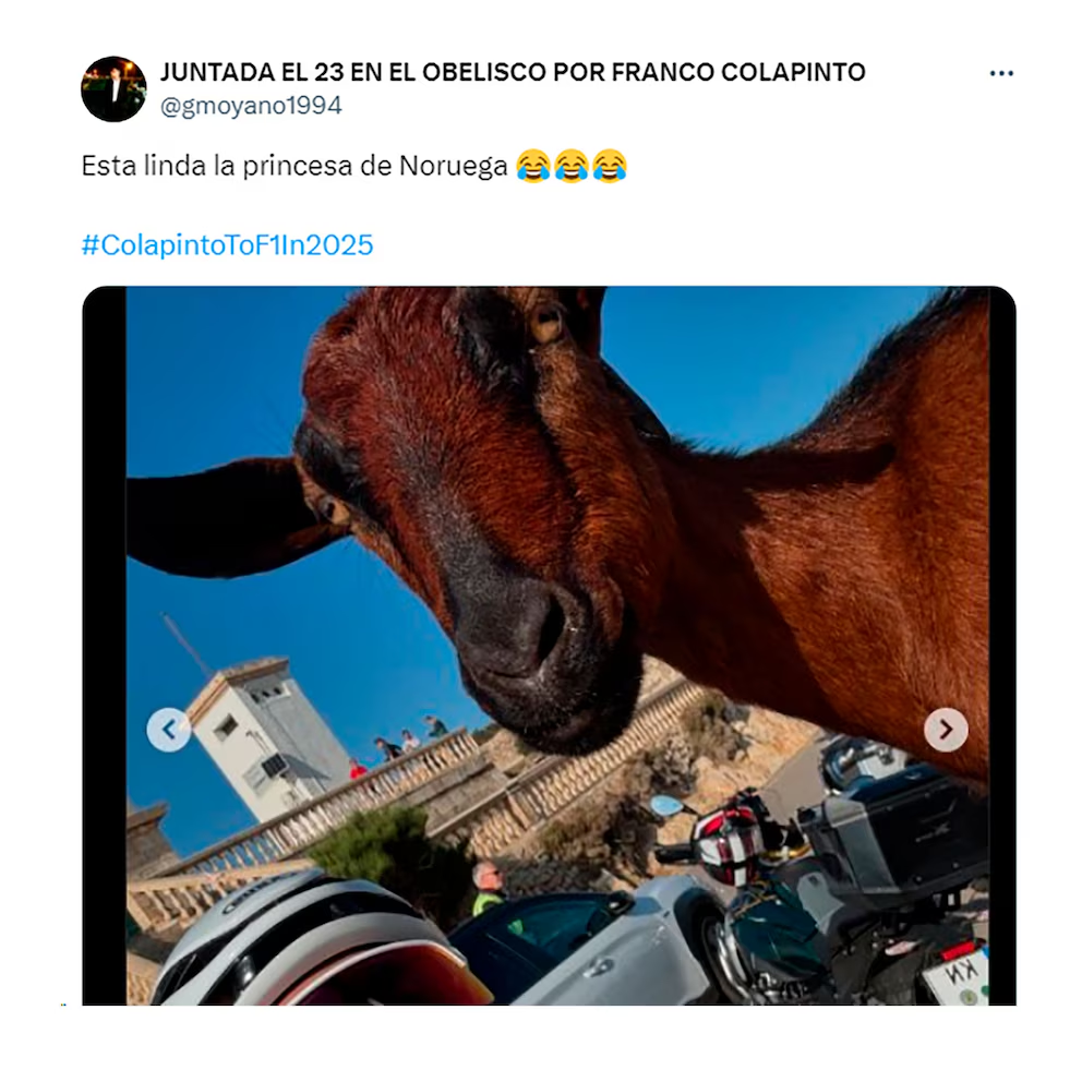 image-24 LA INSÓLITA NOVELA DEL SUPUESTO ROMANCE DE FANCO COLAPINTO Y LA PRINCESA DE NORUEGA: LO MEJORES MEMES Y REACCIONE
