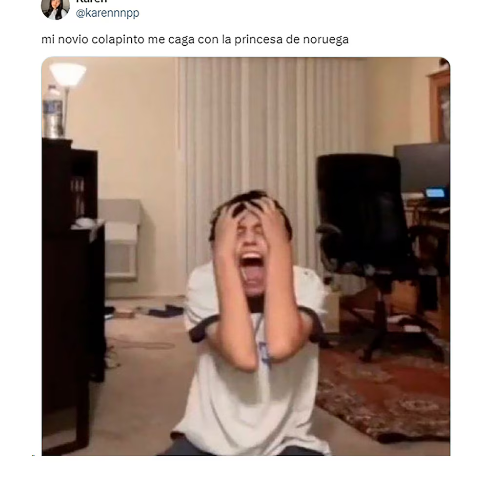 image-25 LA INSÓLITA NOVELA DEL SUPUESTO ROMANCE DE FANCO COLAPINTO Y LA PRINCESA DE NORUEGA: LO MEJORES MEMES Y REACCIONE