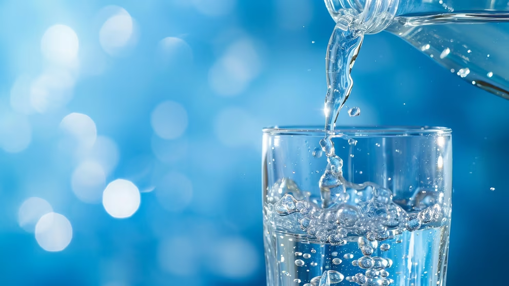 image-52 5 CONSEJOS PARA EVITAR AUMENTAR DE PESO DURANTE LOS FESTEJOS DE NAVIDAD