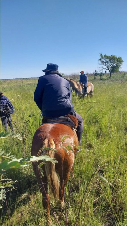 image-25 SE INTENSIFICA LA BÚSQUEDA DE VALLEJOS QUE DESAPARECIÓ AL CRUZAR EL RÍO A CABALLO