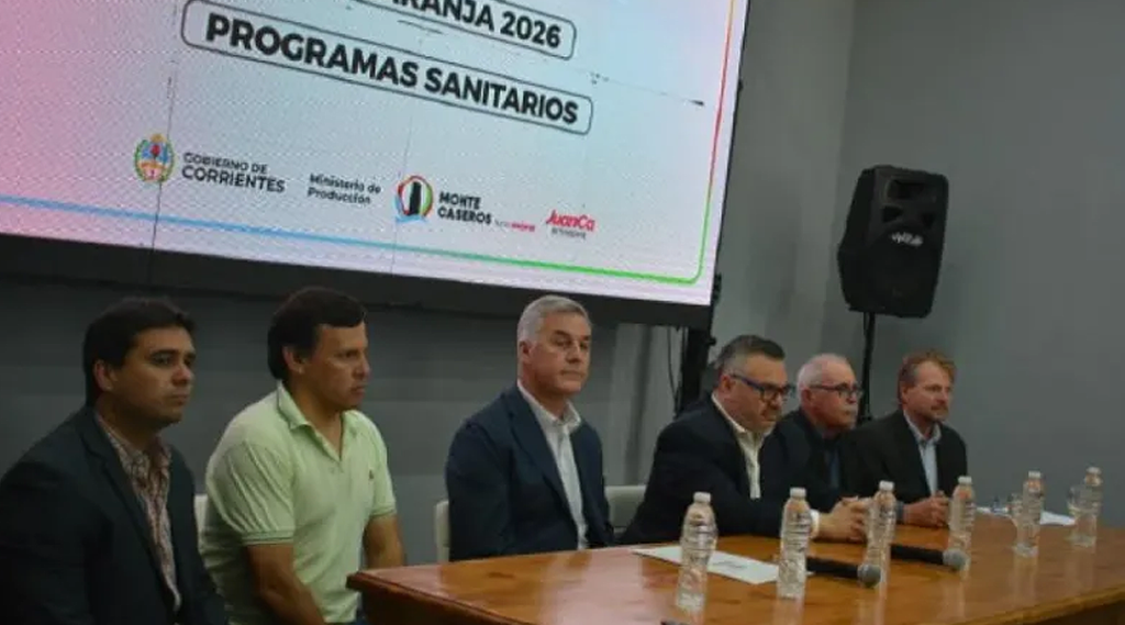 Sin-título-1