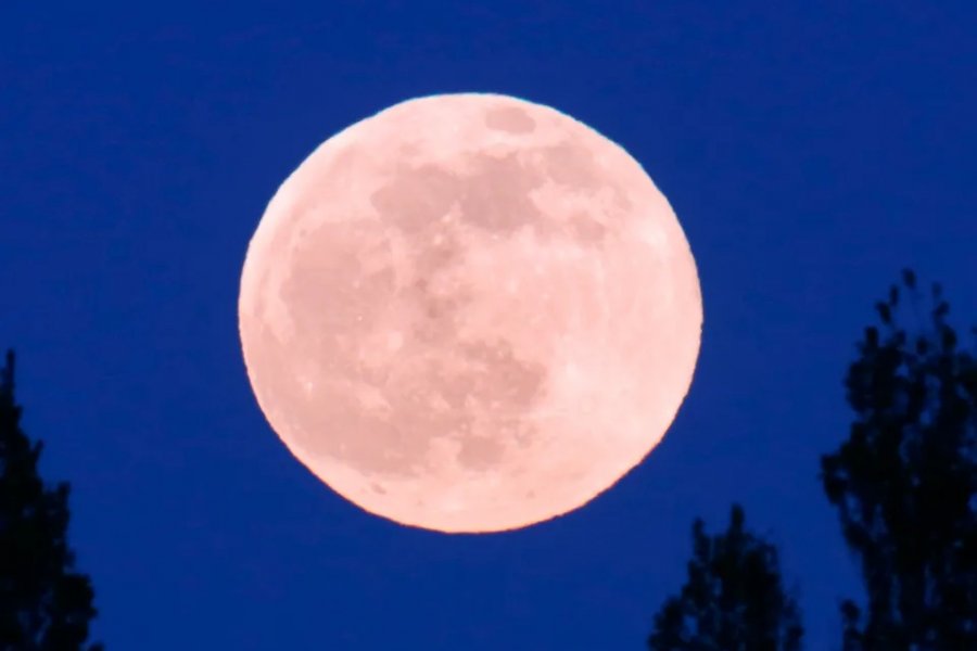 l_1774953100_20042