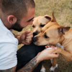 Impulsan una ley para reconocer a los animales como seres sintientes