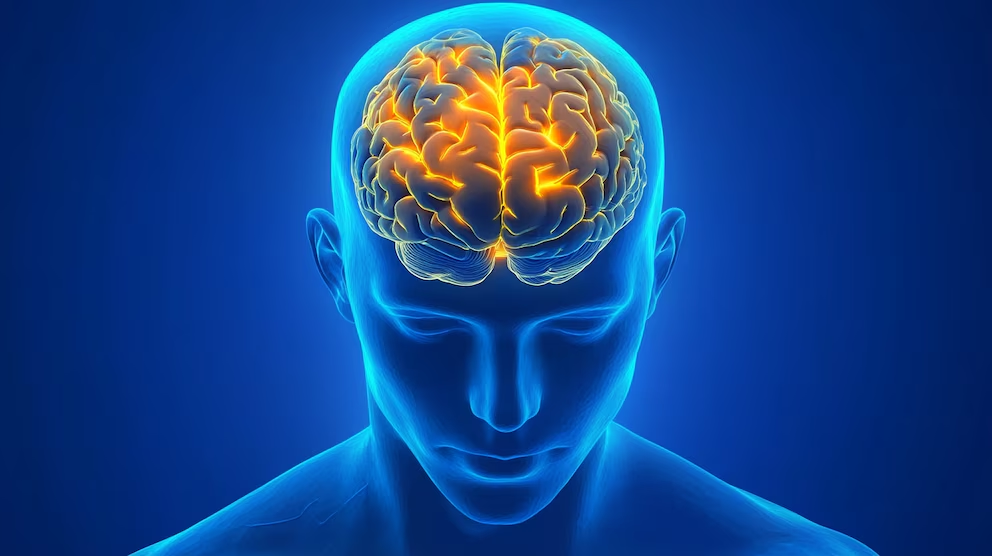 image-3 Día Mundial del Parkinson: una enfermedad que empieza mucho antes que el temblor