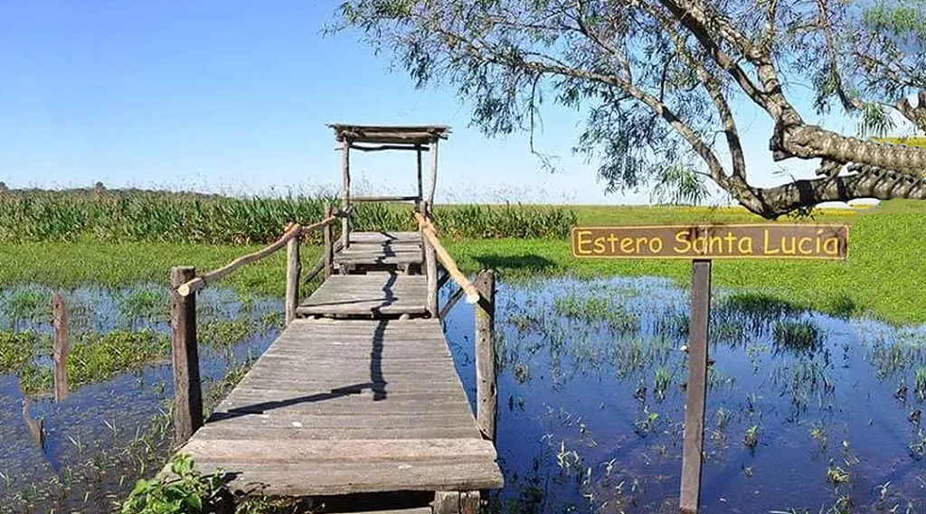 Sin-título-1