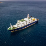 Tres muertos por un brote de hantavirus en un crucero que partió de Ushuaia