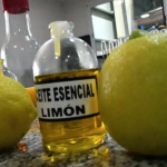 La cosecha de limón impulsa exportaciones millonarias en Corrientes