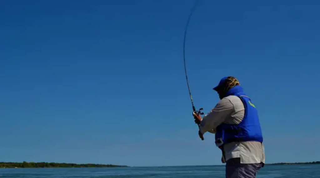 Sin-título-1