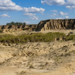 Hallazgo paleontológico en Bella Vista: científicos describieron un ñandú fósil de 65 mil años