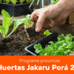 Bella Vista impulsa el programa provincial de huertas Jakaru Porá 2.0