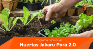 FOTO-PAGINA