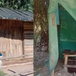 Rescatan a trabajadores forestales: vivían en condiciones inhumanas y cazaban para comer
