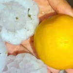 Fuerte temporal: granizo gigante afectó a cuatro localidades correntinas
