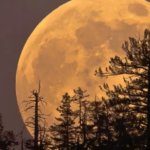 La Luna del Cazador iluminará el cielo esta noche